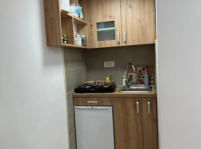 公寓 Kovacevic Gornja Toplica